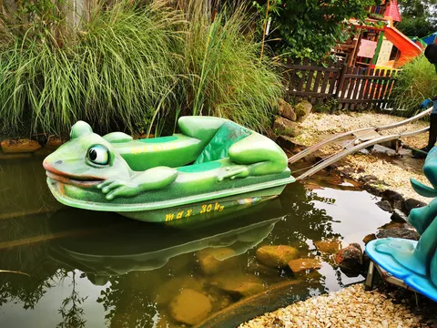 Mexikanischer Wüstenfrosch