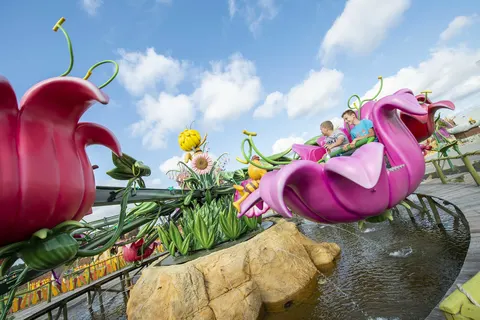 Blütensplash (Foto: Majaland Kownaty)