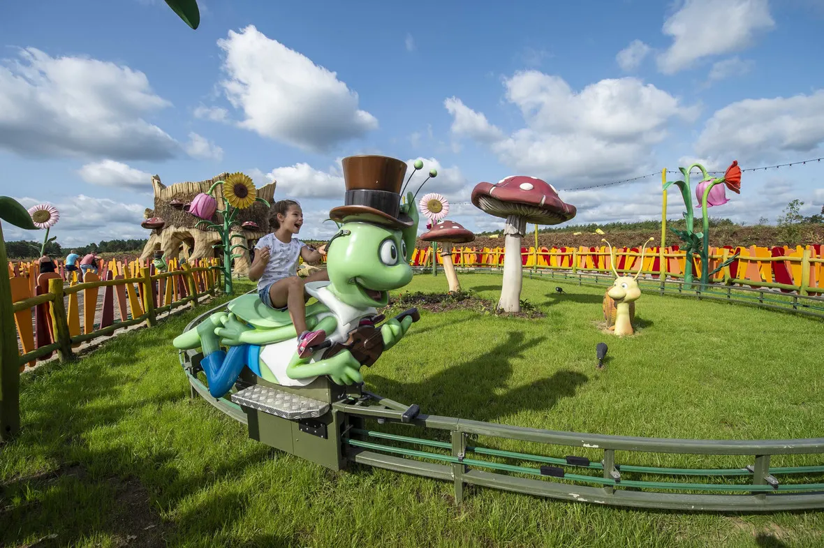 Flip, der Grashüpfer (Foto: Majaland Kownaty)