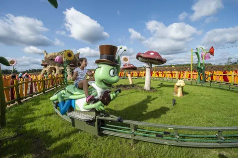 Flip, der Grashüpfer (Foto: Majaland Kownaty)