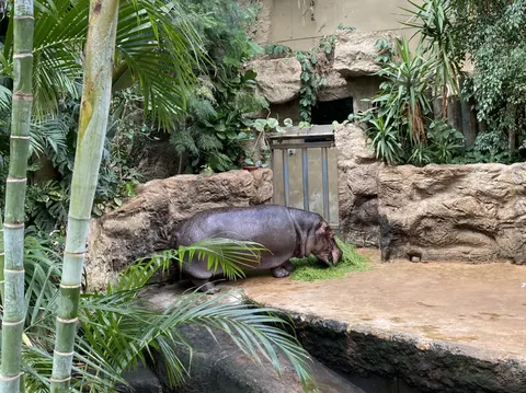 ZOOM Erlebniswelt