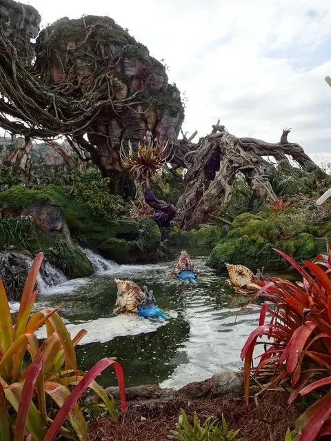 Pandora - The World Of Avatar
