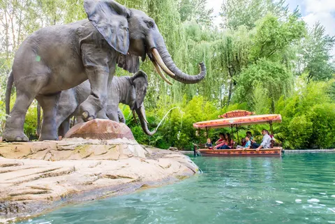 Africa Cruise  (Foto: Nigloland)