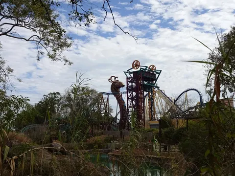 Cobra's Curse