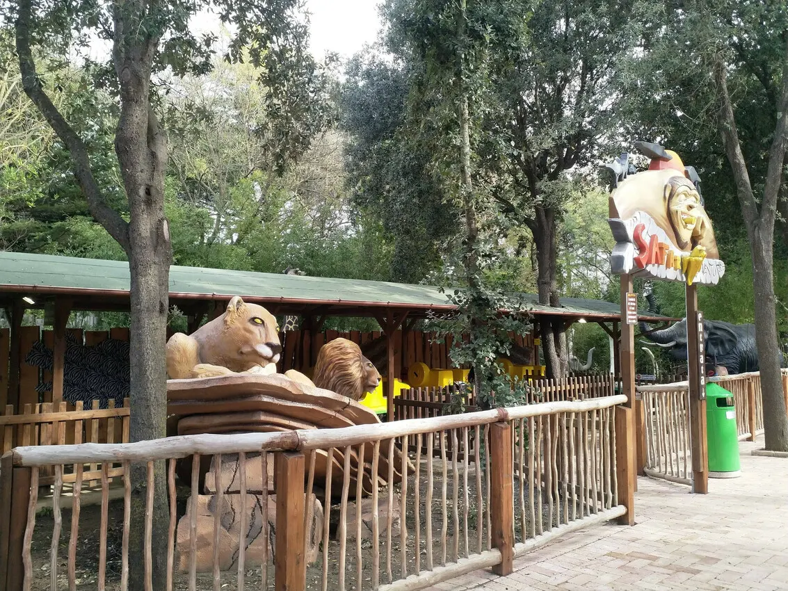Safari Adventures