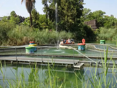 Los Bucaneros