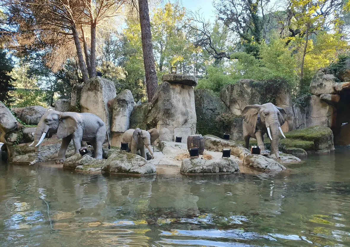 La Jungla (Foto: beatsurfer)